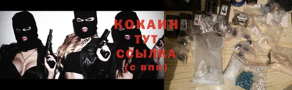 сатива Киреевск