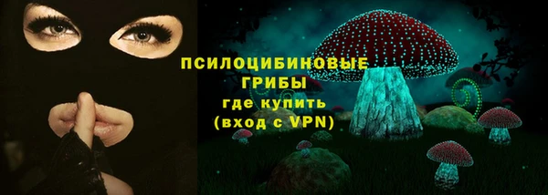 МДПВ Козловка