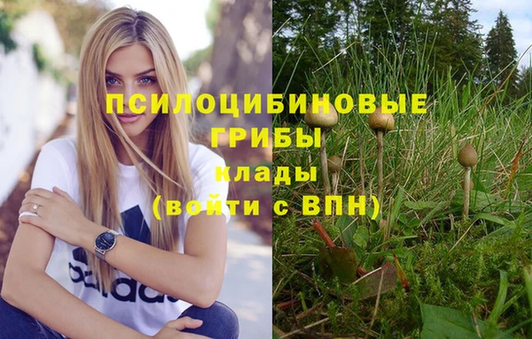 сатива Киреевск