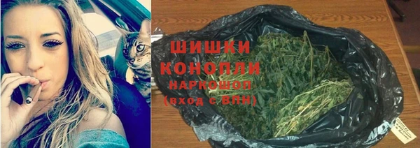 сатива Киреевск