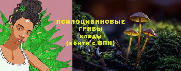 синтетический гашиш Козельск