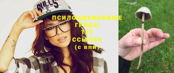 прущая мука Кинешма